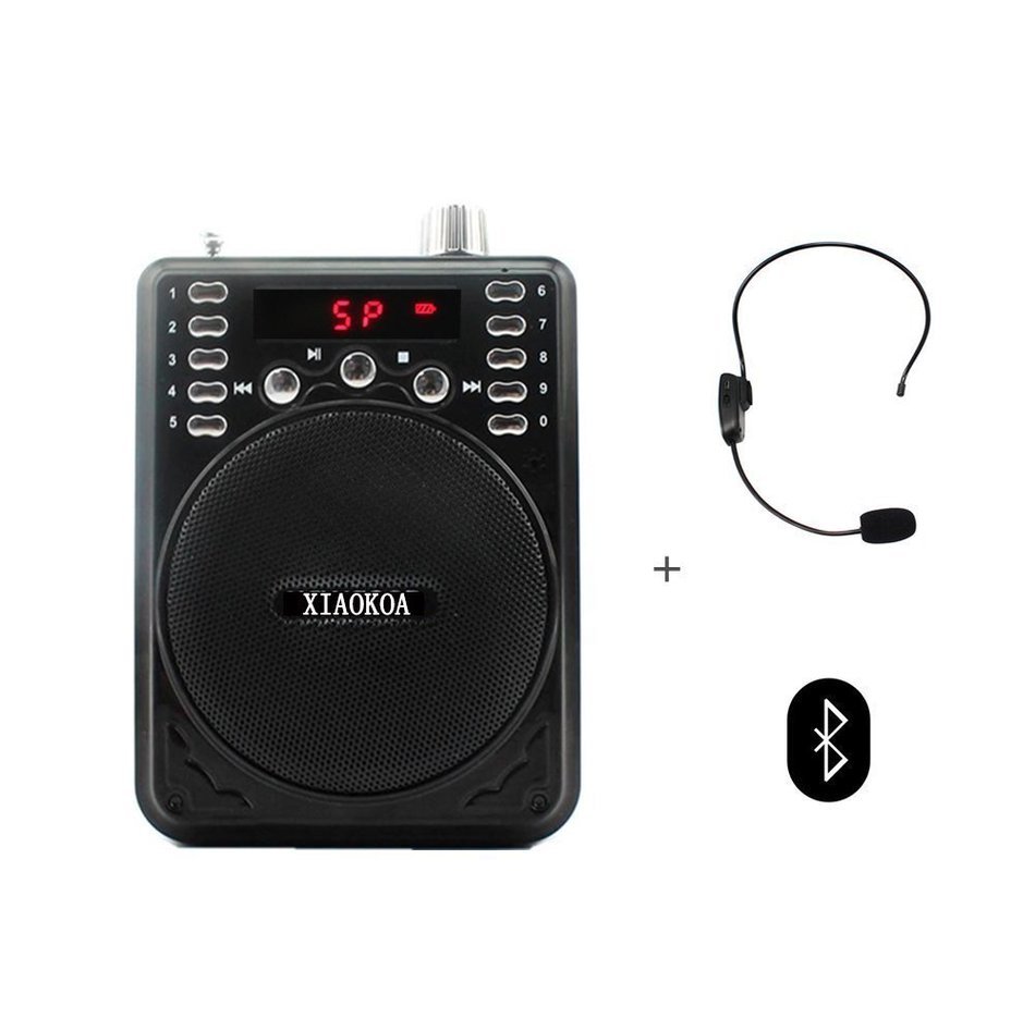 NEWGOOD Bluetooth Portable Voice Amplifier With Wireless Headset Microphone, MP3 Player(SD TF Card/ Flash Drive... N10