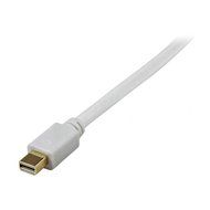 StarTech.com MDP2DVIS Mini DisplayPort to DVI Active Adapter N17