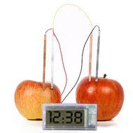 Lovely Cute Potato Clock Science Project Experiment Kit kids Lab Home School Toy N4