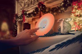 Alarm Clock Radio Wake-Up Light with Sunrise Simulation Nature Sounds Touch Lamp Control Radio FM In Happy Laughing... N7