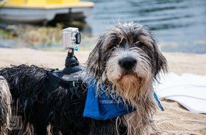 YI Action Camera Waterproof Case: White N9