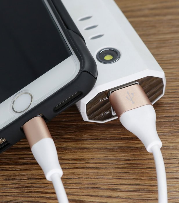 Zeuste Lightning Charging Cable for iOS Devices, 3-Pack (3 Feet, 6 Feet, 10 Feet) - Gold N3