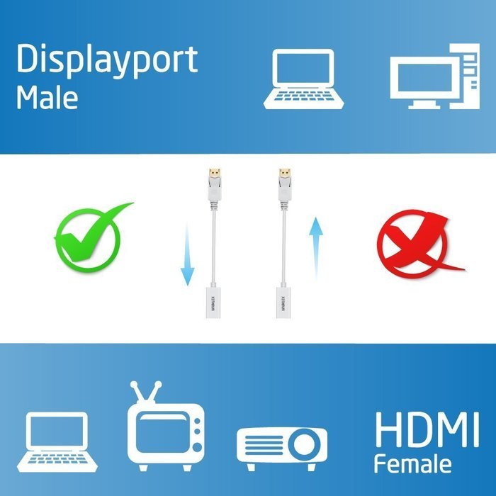 AVANTEK DisplayPort to HDMI Adapter Gold Plated DP HDTV Converter Cable with Audio, 7.8 Inch N5