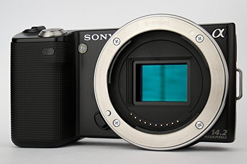 Sony Alpha NEX NEX5 Digital Camera (Body Only) Black