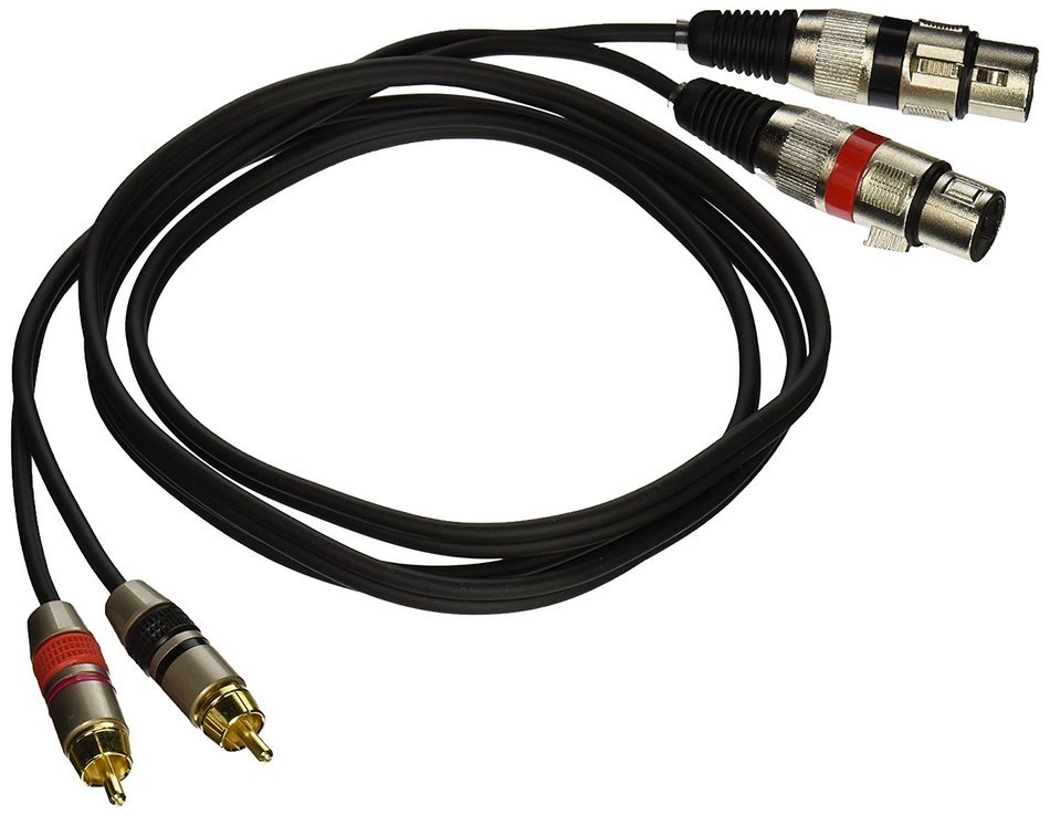 Seismic Audio Saxmrm X Dual Xlr Female To Dual Rca Male Feet Patch