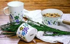 Finex Kitchen Premium Porcelain Enameled Steel Collection (Floral Design Series) Rectangular Loaf Pan - Retro... N14