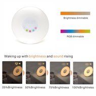 Amteker Wake-Up Light Alarm Clock With Sunrise Simulation And FM Radio Sounds,Touch Control N6