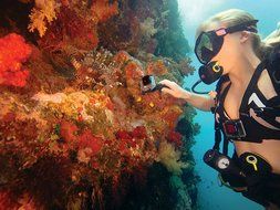 GoPro Headstrap Mount + Quick Clip (GoPro Official Mount) N28