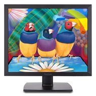 ViewSonic VA951S 19-Inch Screen LED-Lit Monitor N3