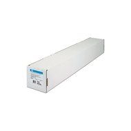 HEWLETT-PACKARD CH026A / HP Everyday Matte Film - 50&quot; x 100 ft - 120 g/m&sup2; - Matte - 2 Pack