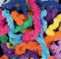 2 X Fun Express Plastic Lei Assortment (100 Piece)