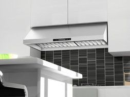 Z Line 521-30 Z Line 900 CFM Under Cabinet Range Hood, 30", Stainless Steel