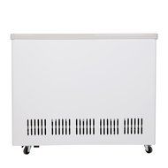 226L Double-Temperature Glass Display Showcase Ice Cream Freezing Chest Deep Freezer Beer Beverages Merchandise... N3