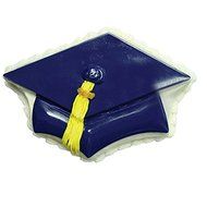 Graduation Graduate Cap Hat Pantastic Cake Pan from CK N2