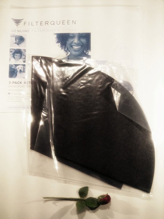 Filter Queen Vacuum Cleaner Charcoal Activated Genuine Cones Majestic 2pk