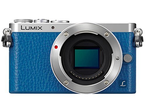 Panasonic DMC-GM1KA LUMIX Mirrorless Digital Camera with 12-32mm Silver Kit Lens N4