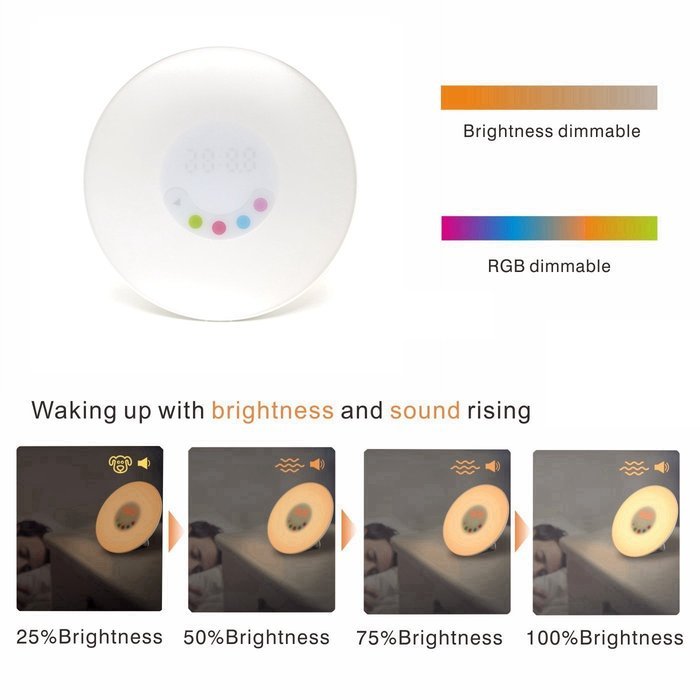 Amteker Wake-Up Light Alarm Clock With Sunrise Simulation And FM Radio Sounds,Touch Control N6