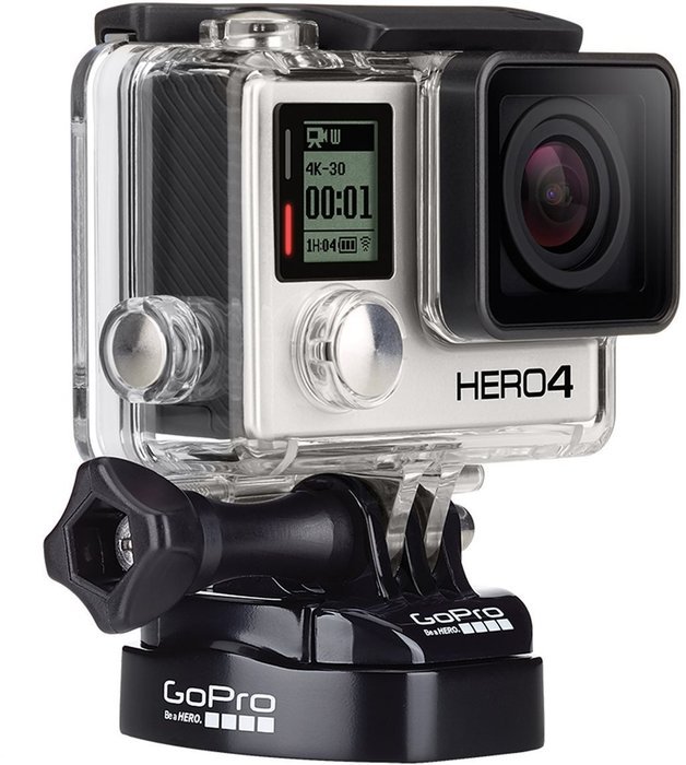 GoPro Headstrap Mount + Quick Clip (GoPro Official Mount) N19