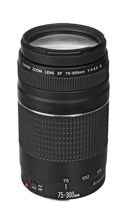Canon EOS Rebel SL1 DSLR Camera with 18-55mm IS STM and 75-300mm III Lenses N3