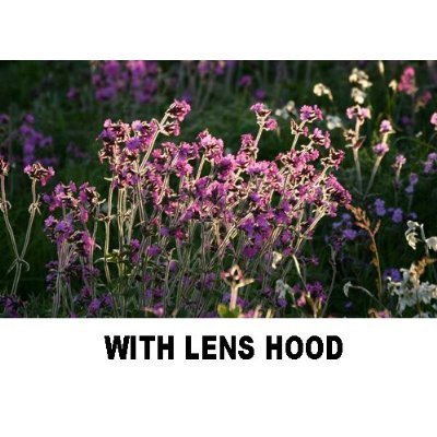 Pro Digital Hard Lens Hood For D3X, D3, D2Xs, D2Hs, D2X, D2H, The Nikon D3, D40, D40X, D50, D60, D70, D80, D90... N2