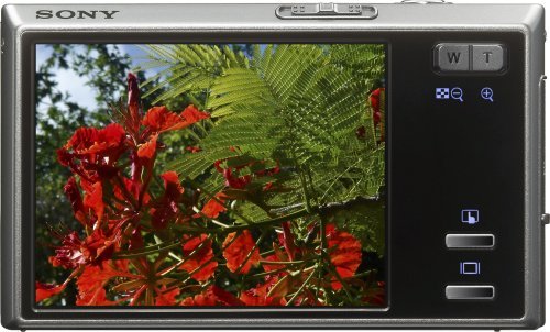 Sony Cybershot DSC-T50 7.2MP Digital Camera with 3x Optical Zoom (Silver) N11