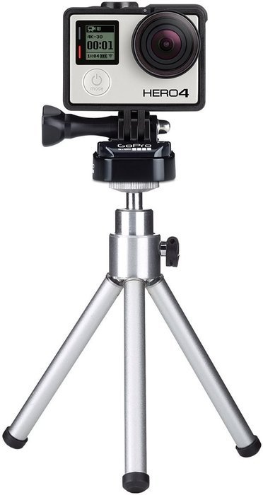 GoPro Headstrap Mount + Quick Clip (GoPro Official Mount) N43