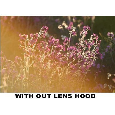 Pro Digital Hard Lens Hood For D3X, D3, D2Xs, D2Hs, D2X, D2H, The Nikon D3, D40, D40X, D50, D60, D70, D80, D90... N4