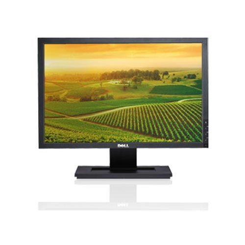 Dell UltraSharp E1909WB 19in Widescreen Flat Panel LCD Monitor N3