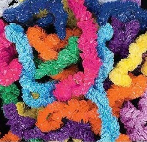 2 X Fun Express Plastic Lei Assortment (100 Piece)