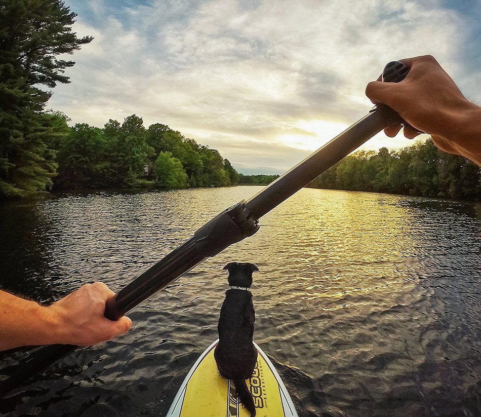 GoPro Hero+ w/ AmazonBasics Headstrap and SD Card N7