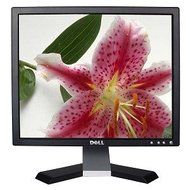 17&quot; Dell E177FPc LCD Monitor (Black) N2