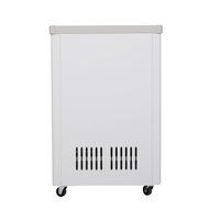 226L Double-Temperature Glass Display Showcase Ice Cream Freezing Chest Deep Freezer Beer Beverages Merchandise... N4