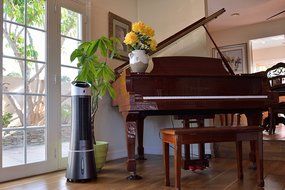 Luma Comfort EC45S Tower Evaporative Cooler with 125 Square Foot Cooling, 250 CFM N5