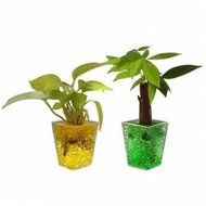 Magic Moisturizing Crystal Mud Soil Water Beads For Flower Planting N2