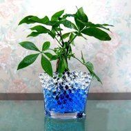 Magic Moisturizing Crystal Mud Soil Water Beads For Flower Planting N3