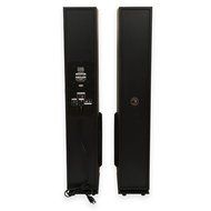 Acoustic Audio TSi350 Bluetooth Powered Floorstanding Tower Home Multimedia Speaker Pair and Mics TSi350M2 N2