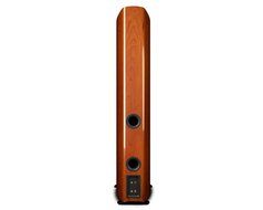 Aperion Verus Grand Tower Speaker (Gloss Real Cherry Wood Veneer) N2