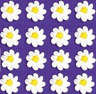 24pk Elegant White Daisy Blossoms Wedding / Special Occasion Cake / Cupcake Decoration Royal Icing Toppers