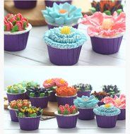 Dewel Multi-Pattern Russian Piping Tips, 12PCS Icing Decorating Tips,Stainless Steel Icing Piping Nozzles ,A Tool...