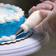 DayMark PipingPal Plus Disposable Pastry Bag N8