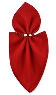 DII 100% Cotton, Machine Washable Everyday Basic Buffet Napkin, 16 x 16", Cream, Set of 12 N7