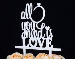 LOVENJOY with Gift Box All You Need is Love Monogram Wedding Engagement Cake Topper Gold Glitter, 6-inch N9