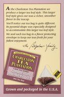 American Classic Pyramid Teabags, Charleston Breakfast, 12 Count N2