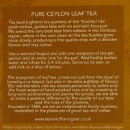 Taylors of Harrogate Classic Tea Variety Box, 48 Count N63
