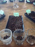 Ethiopian Yirgacheffe Green Unroasted Coffee Beans 1 Pound N2