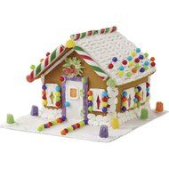 Wilton 2104-1951 Pre-Assembled Petite Gingerbread House, Multicolor N6