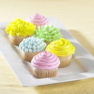 Nordic Ware Cupcake Frosting Decorator Press N5