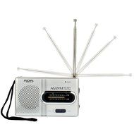 STree Mini Portable Pocket AM FM Radio Built-in Speaker with Telescopic Antenna, Silver N4