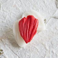 Silicone mold Universal Petal. All-purpose Veiner Mold for gumpaste flower leaves for cake decorating, chocolate... N5
