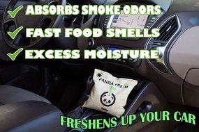 2X Activated Bamboo Air Purifying Odor Remover Charcoal Bag 250g Non Toxic Chemical Free Moisture Remover by PANDA...